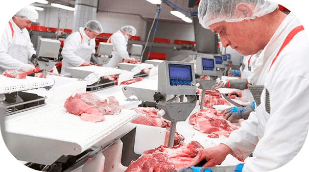 NR 36 – Treinamento para Segurança e Saúde no Trabalho em Empresas de Abate e Processamento de Carnes e Derivados